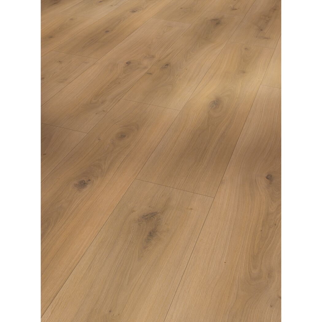 Laminat 'Basic 600' Eiche Horizont natur seidenmatt 8 mm