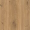 Laminat 'Basic 600' Eiche Horizont natur seidenmatt 8 mm