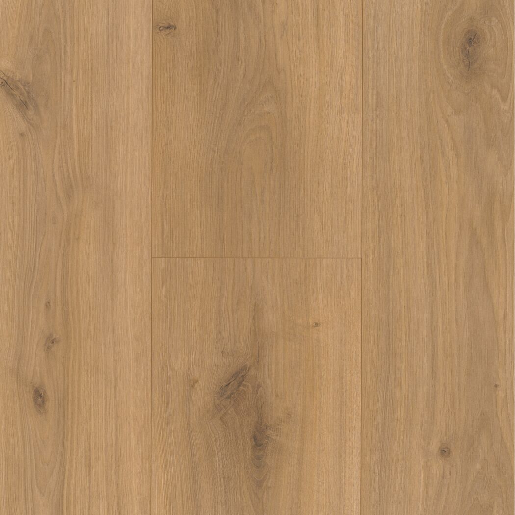 Laminat 'Basic 600' Eiche Horizont natur seidenmatt 8 mm