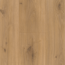 Laminat 'Basic 600' Eiche Horizont natur seidenmatt 8 mm