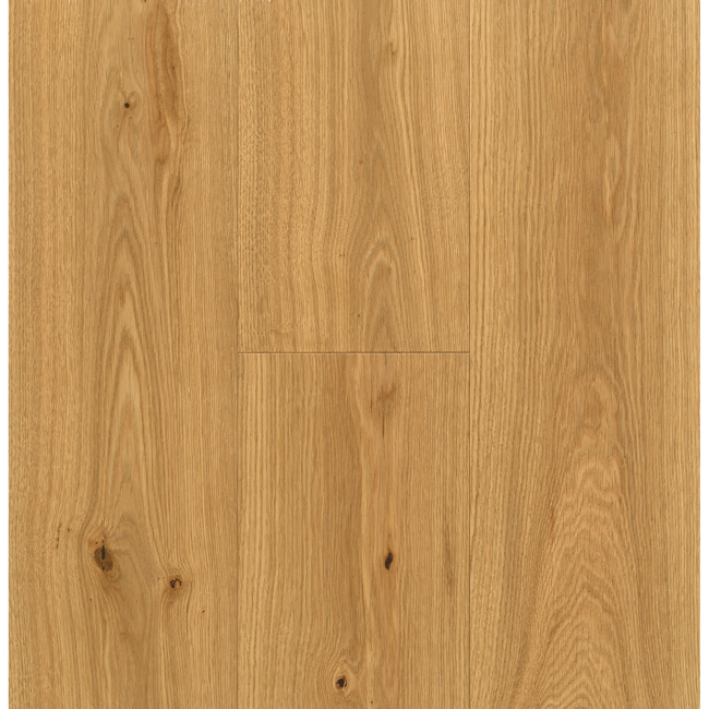 Bild von Parkett 'Expressive' Eiche naturgeölt braun 13 mm