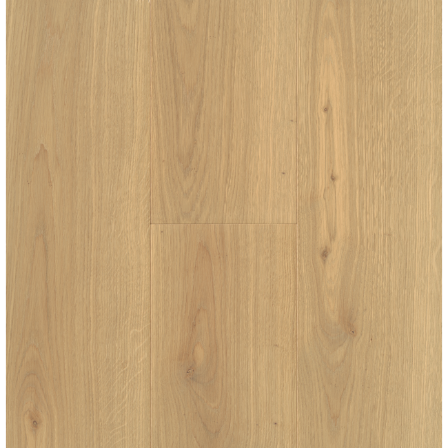 Bild von Parkett 'Expressive' Eiche matt weiß 13 mm