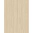 Helles Holz