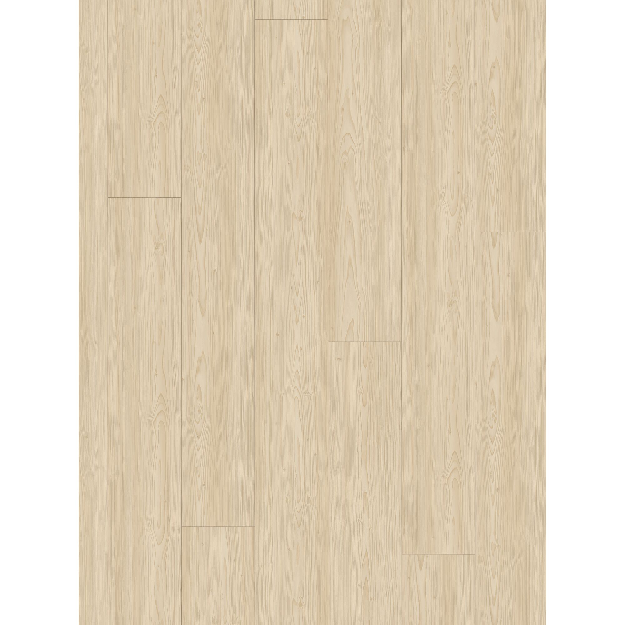 Helles Holz