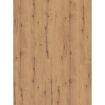 hauptbild