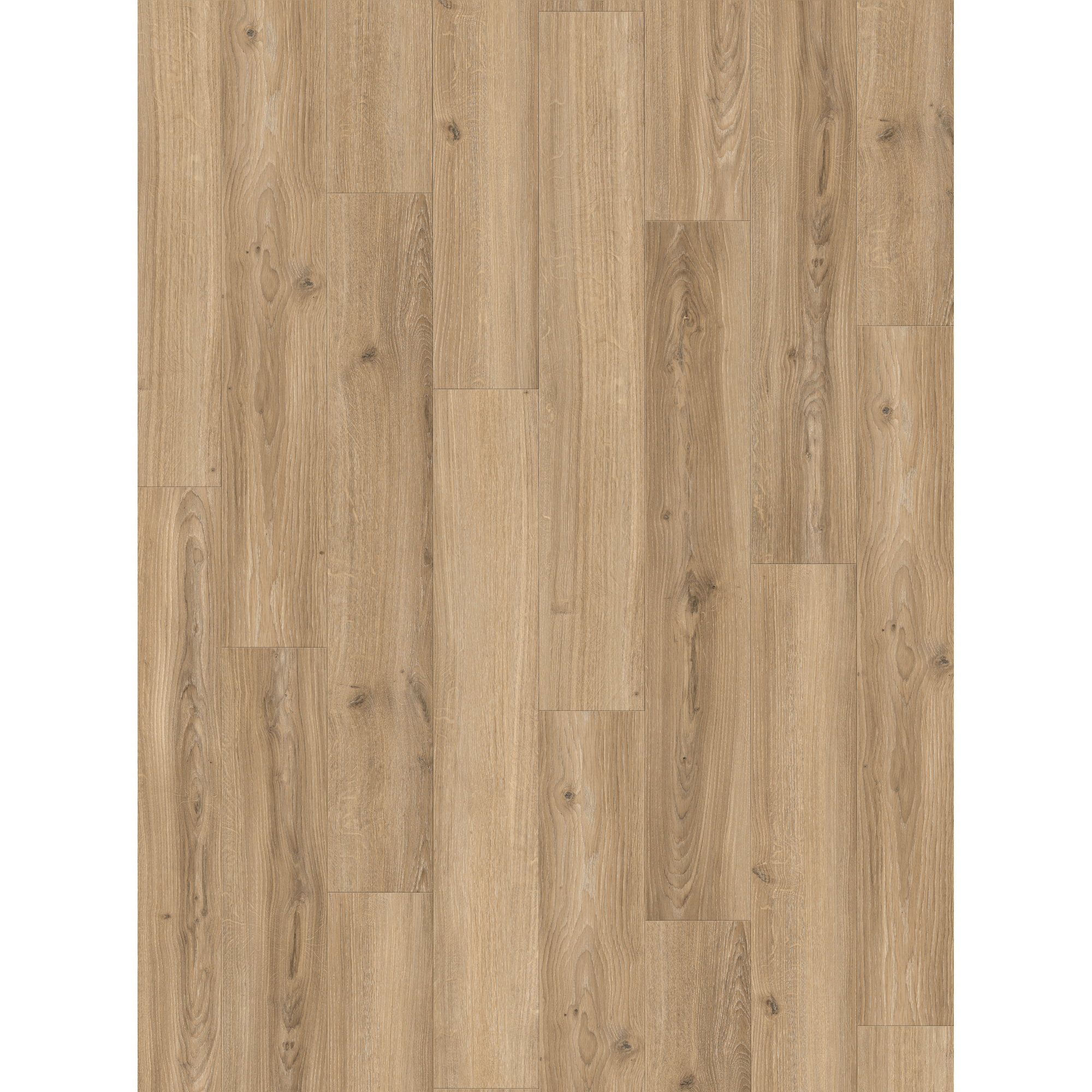 Laminat 'Basic 400' Eiche Studioline matt beige 8 mm + product picture