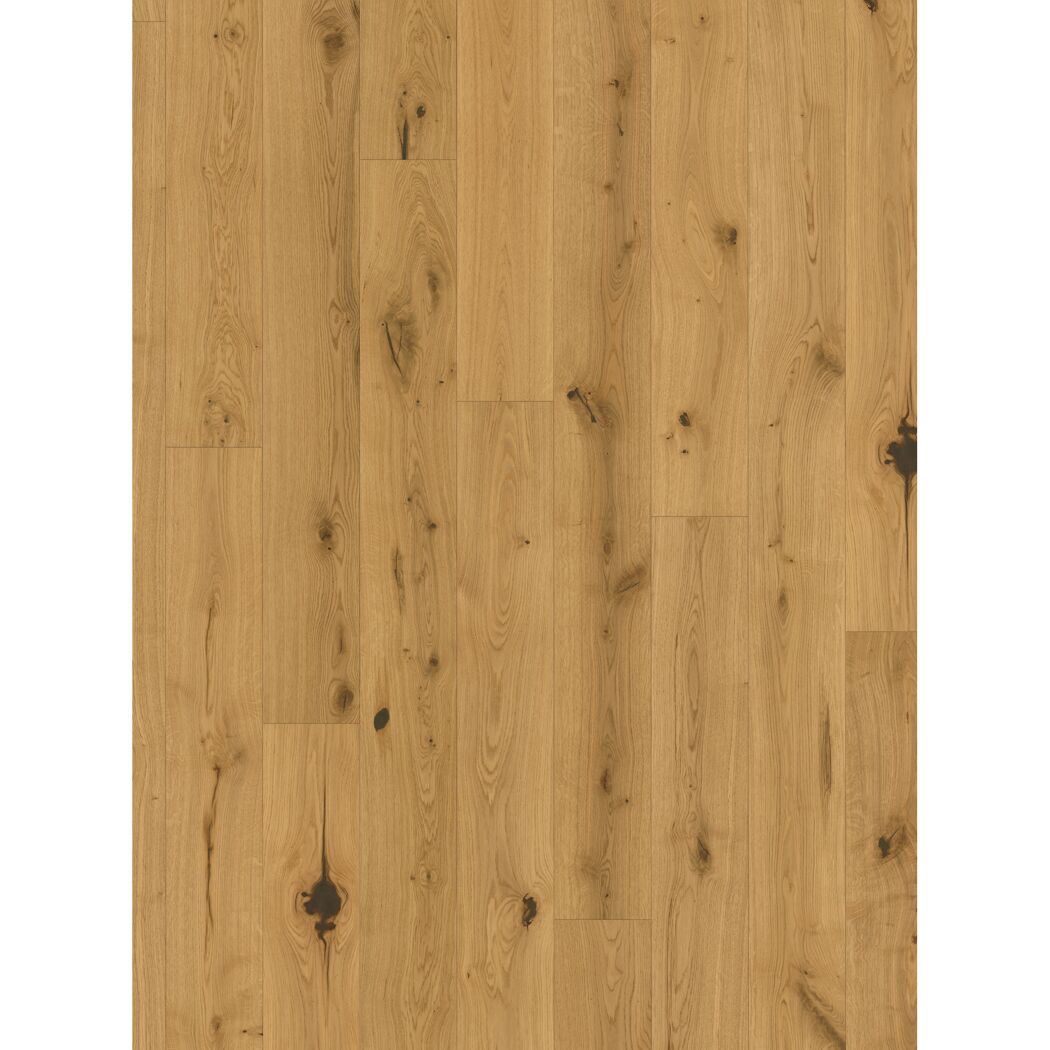 Parkett 'Basic 11-5' Eiche Chianti natur lackversiegelt matt hellbraun 11,5 mm