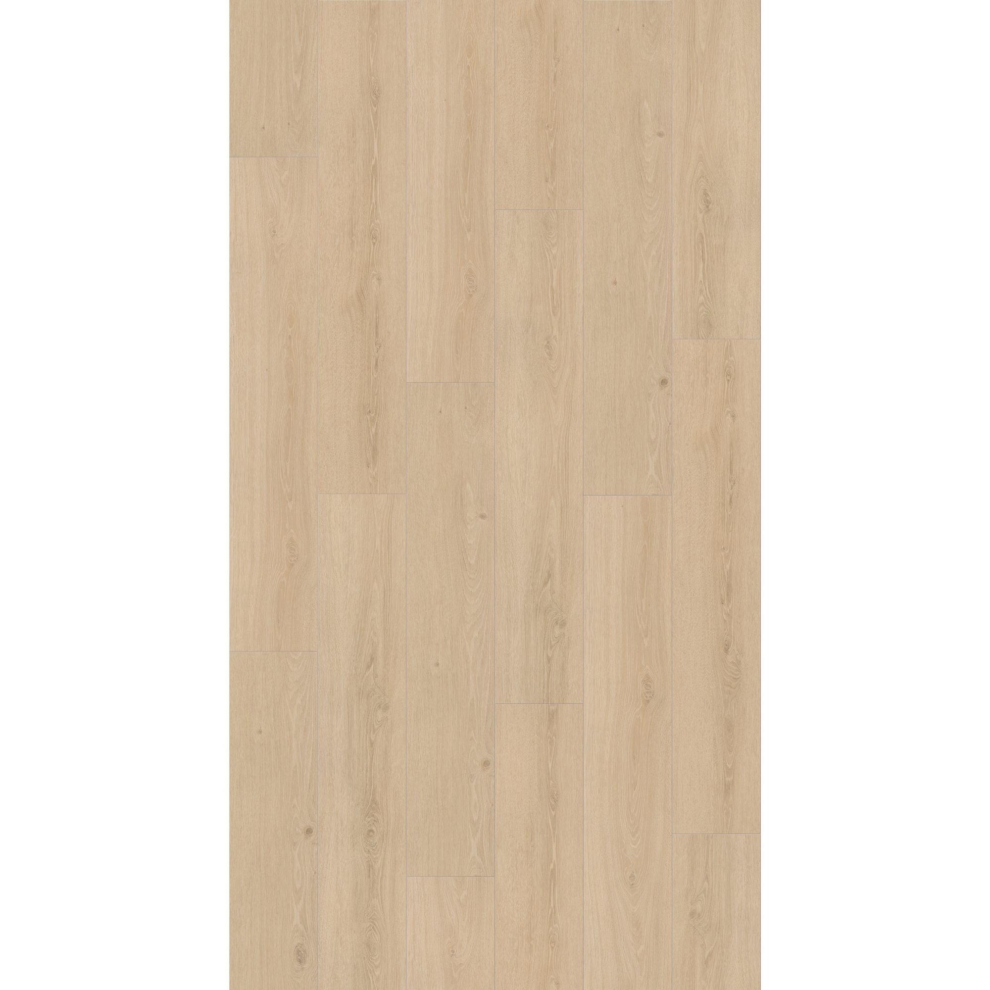 Vinylboden 'Basic 30' Eiche Studioline geschliffen Holz hellbraun 9,4 mm + product picture