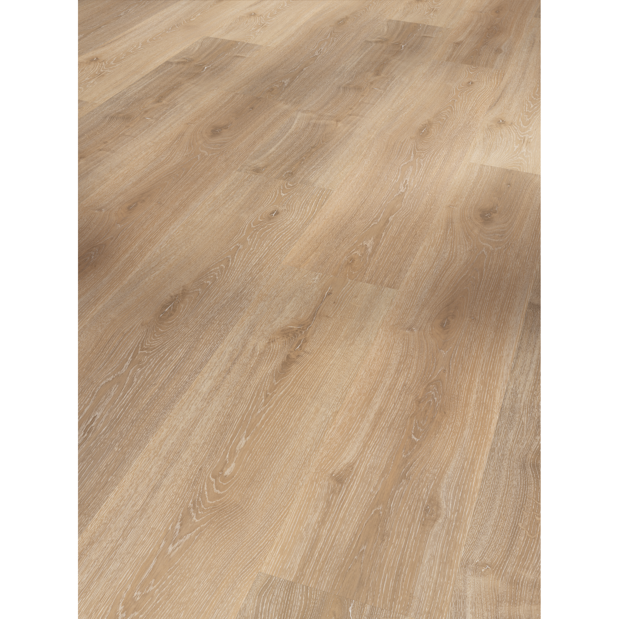 Vinylboden 'Basic 30' Eiche Royal hell gekälkt Holz hellbraun 9,4 mm + product picture