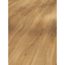 Vinylboden 'Basic 30' Eiche Sierra natur gebürstet  braun 9,4 mm