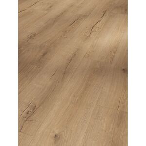 Vinylboden 'Basic 5.3' Eiche Cambridge natur Natur hellbraun 5,3 mm