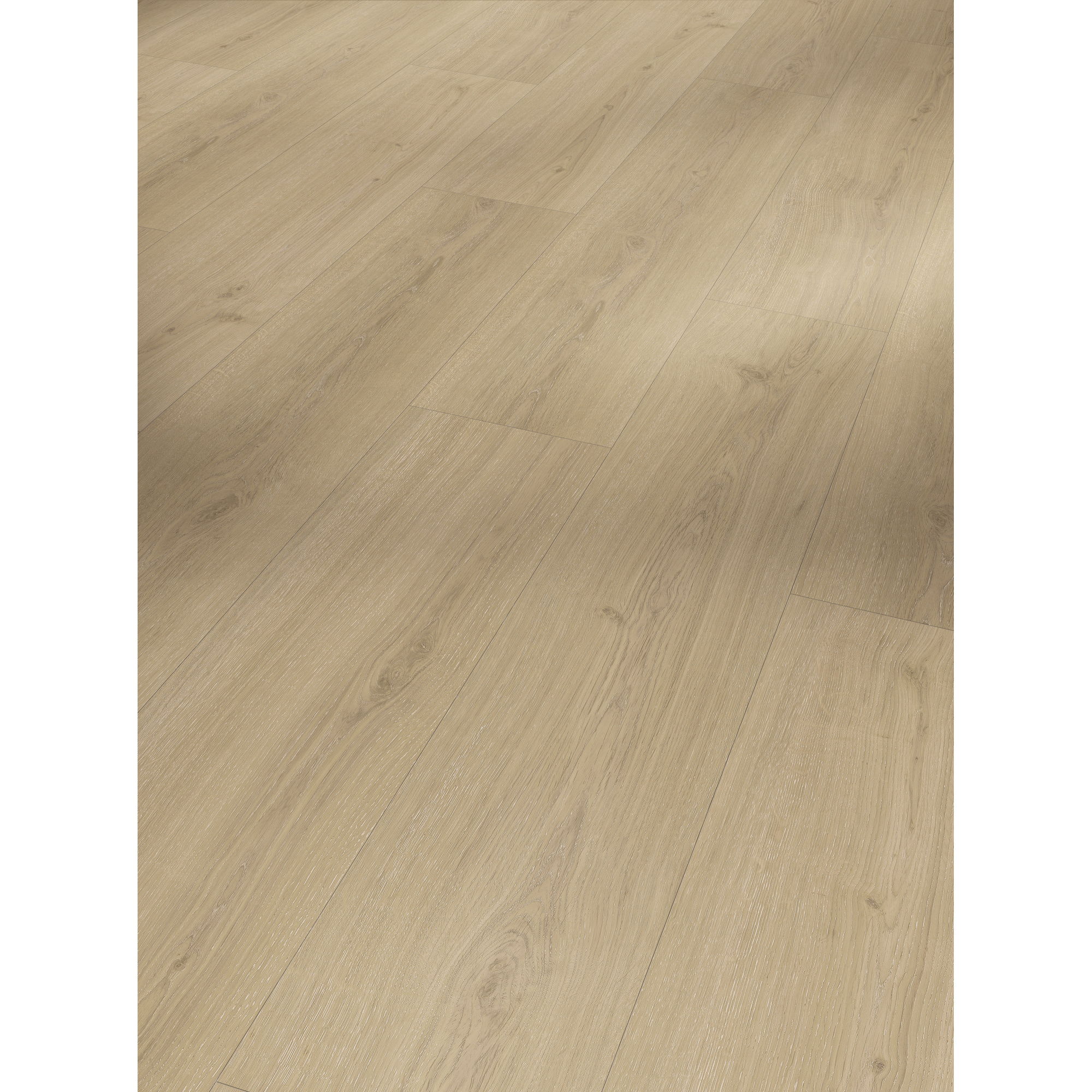 Vinylboden 'Basic 5.3' Eiche Regent Eleganz hellbraun 5,3 mm + product picture