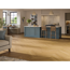 Vinylboden 'Trendtime 3' Eiche Oxford seidenmatt  braun 5 mm