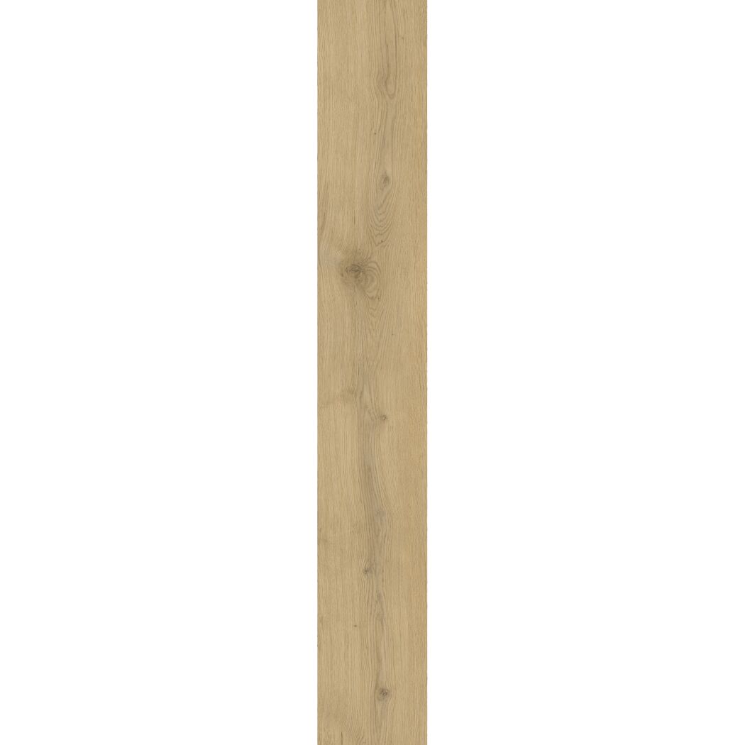 Helle Holztextur