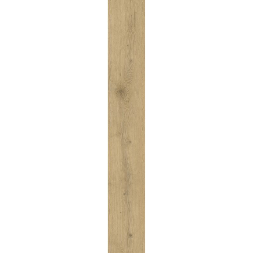 Helle Holztextur
