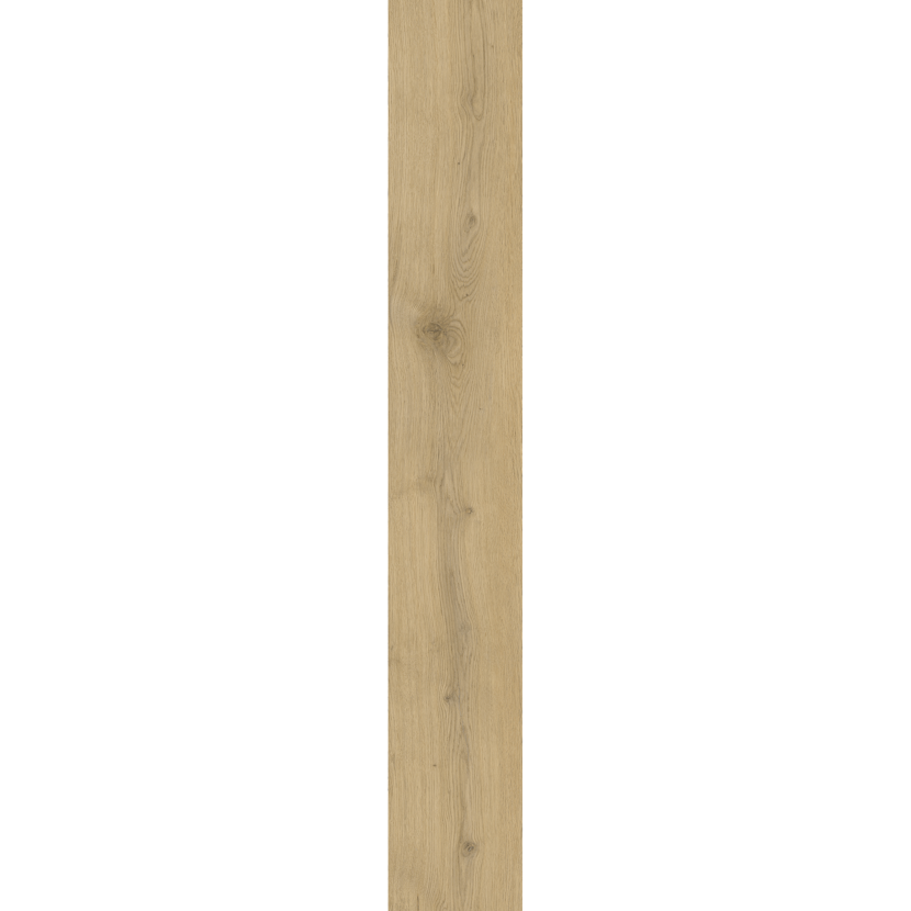 Helle Holztextur