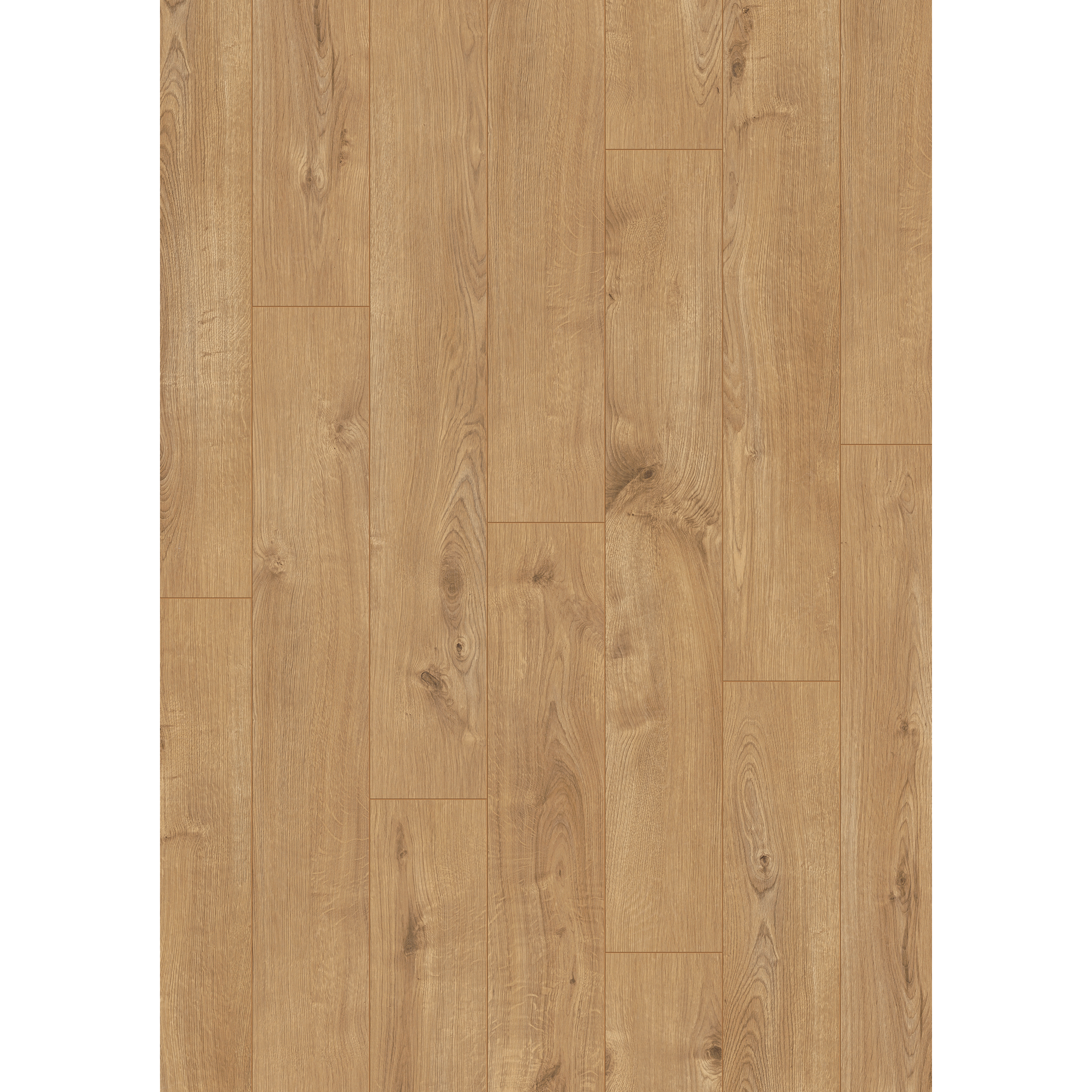 Laminat 'Sherwood Oak' eichefarben braun 8 mm + product picture