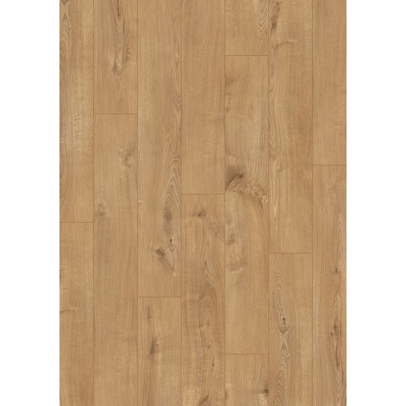 Laminat 'Sherwood Oak' eichefarben braun 8 mm