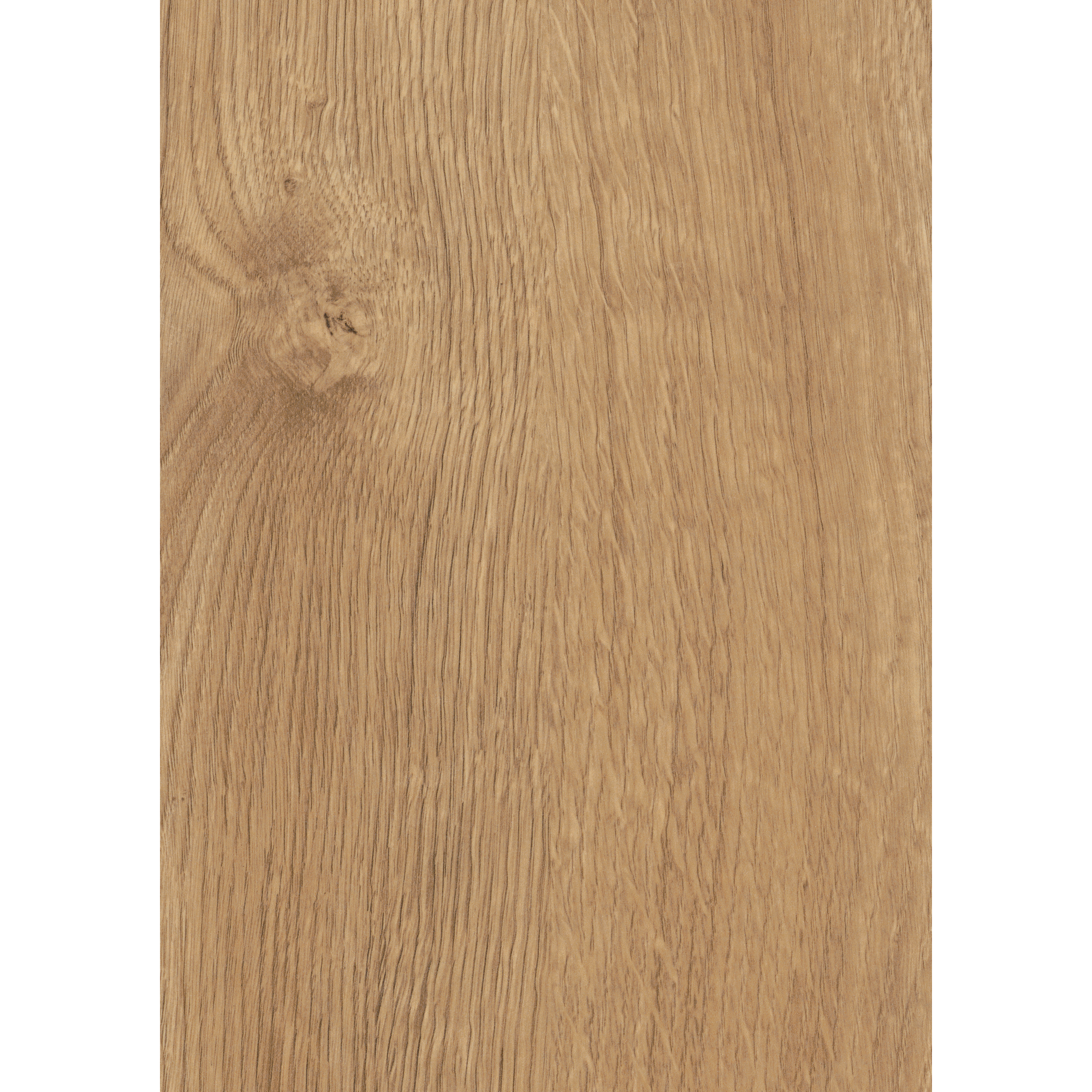 Laminat 'Sherwood Oak' eichefarben braun 8 mm