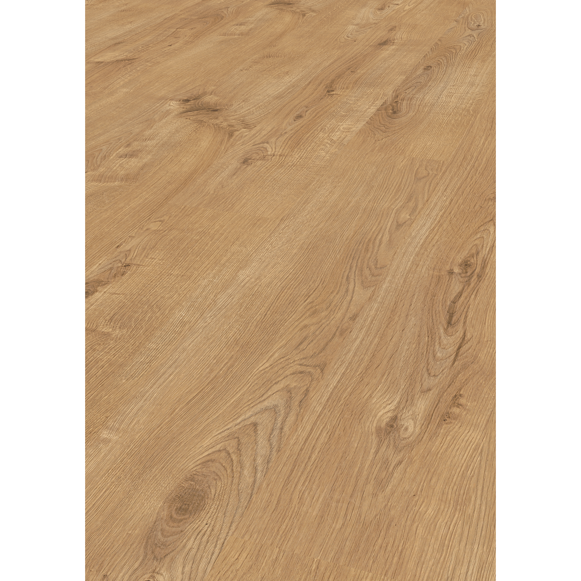 Laminat 'Sherwood Oak' eichefarben braun 8 mm