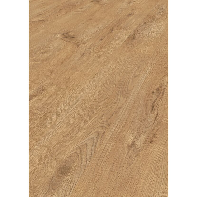 Laminat 'Sherwood Oak' eichefarben braun 8 mm