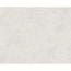 Verkleinertes Bild von Vliestapete "Burlesque" Uni grau 10,05 x 0,53 m