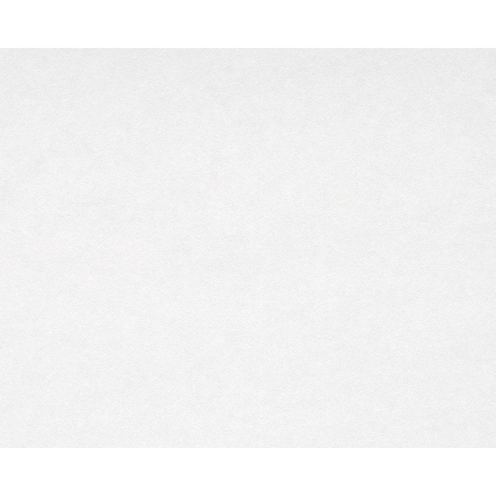 Vliestapete "Meistervlies" Uni weiß 10,05 x 0,53 m + product picture