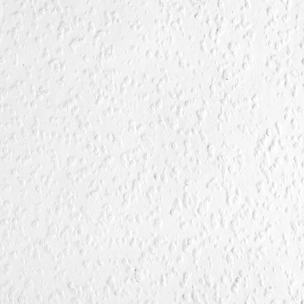 Weiße Raufasertapete Rustic Erfurt