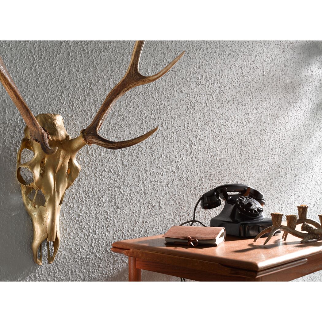 Goldener Tierschädel, Telefon und Kerzenhalter auf einem Tisch