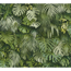 Vliestapete 'Greenery' Dschungel grün 0,53 x 10,05 m