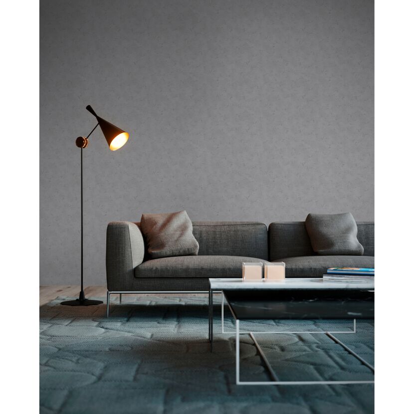 Wohnzimmer mit grauer Wand und grauer Couch
