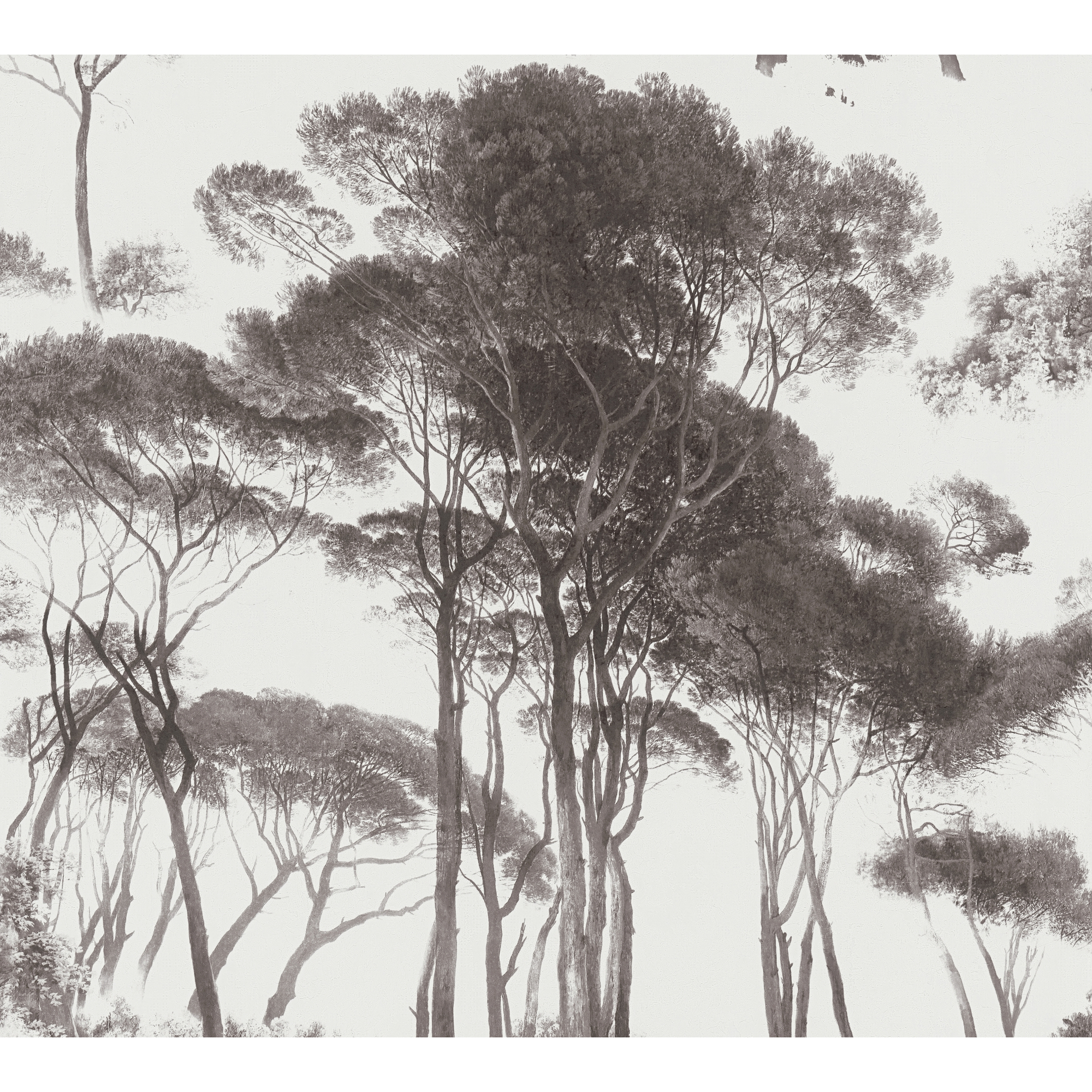 Vliestapete 'History of Art' Wald weiß/schwarz 53 x 1005 cm + product picture