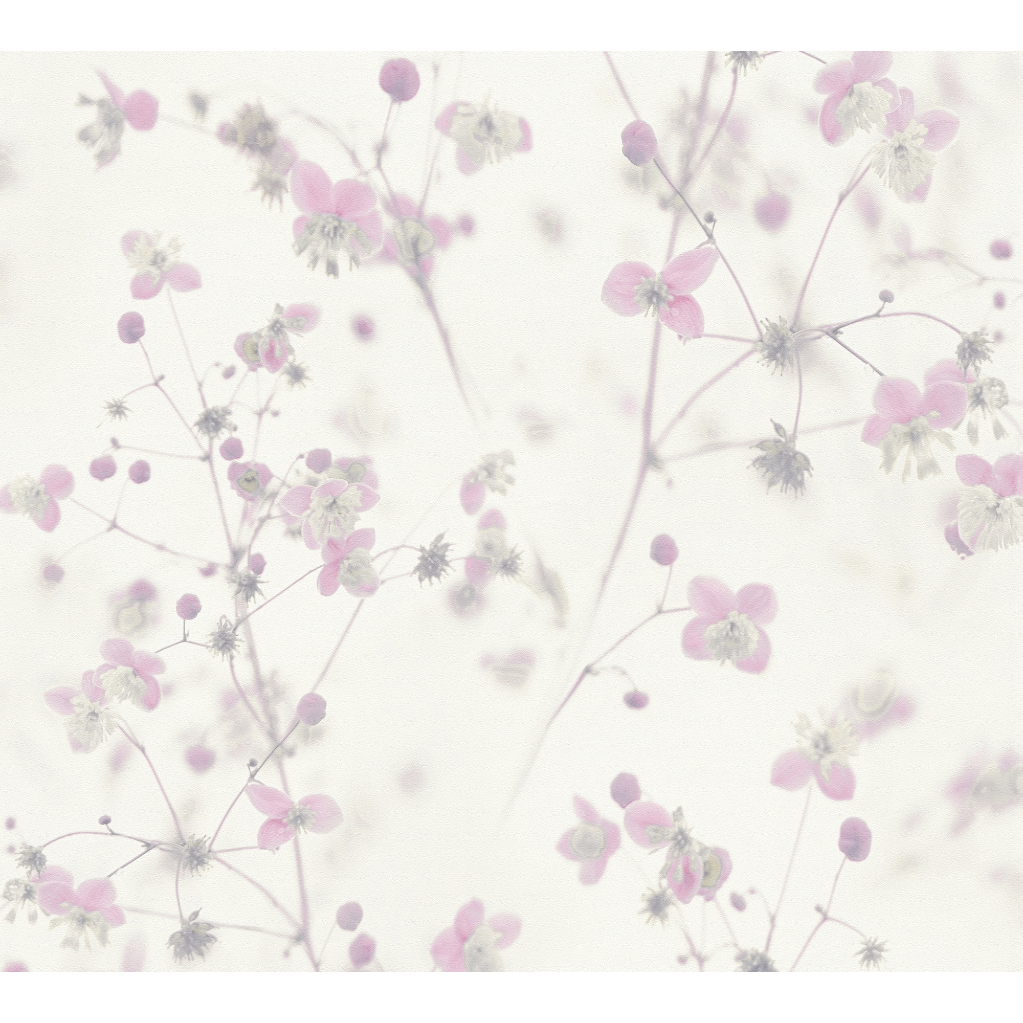 Zarte rosa Blüten auf weißem Hintergrund.