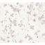 Zarte rosa Blüten auf weißem Hintergrund.