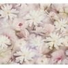 Viele rosa und weiße Magnolienblüten
