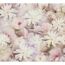 Viele rosa und weiße Magnolienblüten