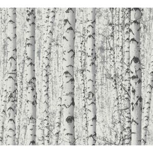 Vliestapete 'Pintwalls' Birkenwald weiß 53 x 1005 cm