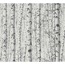 Verkleinertes Bild von Vliestapete 'Pintwalls' Birkenwald weiß 53 x 1005 cm