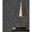 Vliestapete 'Trendwall' Metallic-Effekt used schwarz/goldfarben 0,53 x 10,05 m