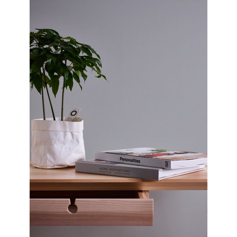 Holztisch mit Pflanze, Büchern und Schublade