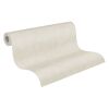 Beige Vliestapete Cuba, Putzoptik, Rolle