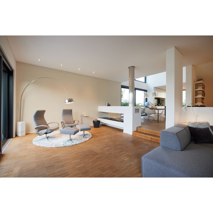 Modernes Wohnzimmer mit Kamin und Essbereich