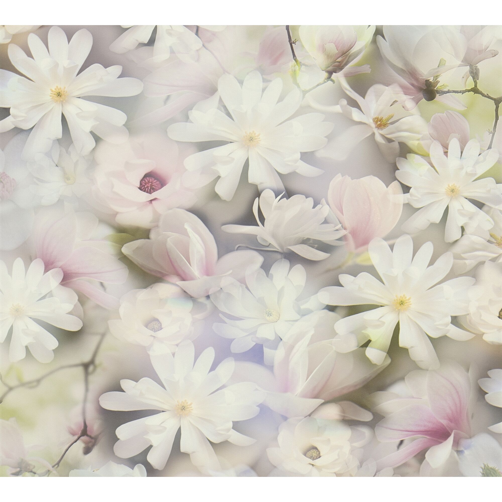 Viele weiße und rosa Blüten