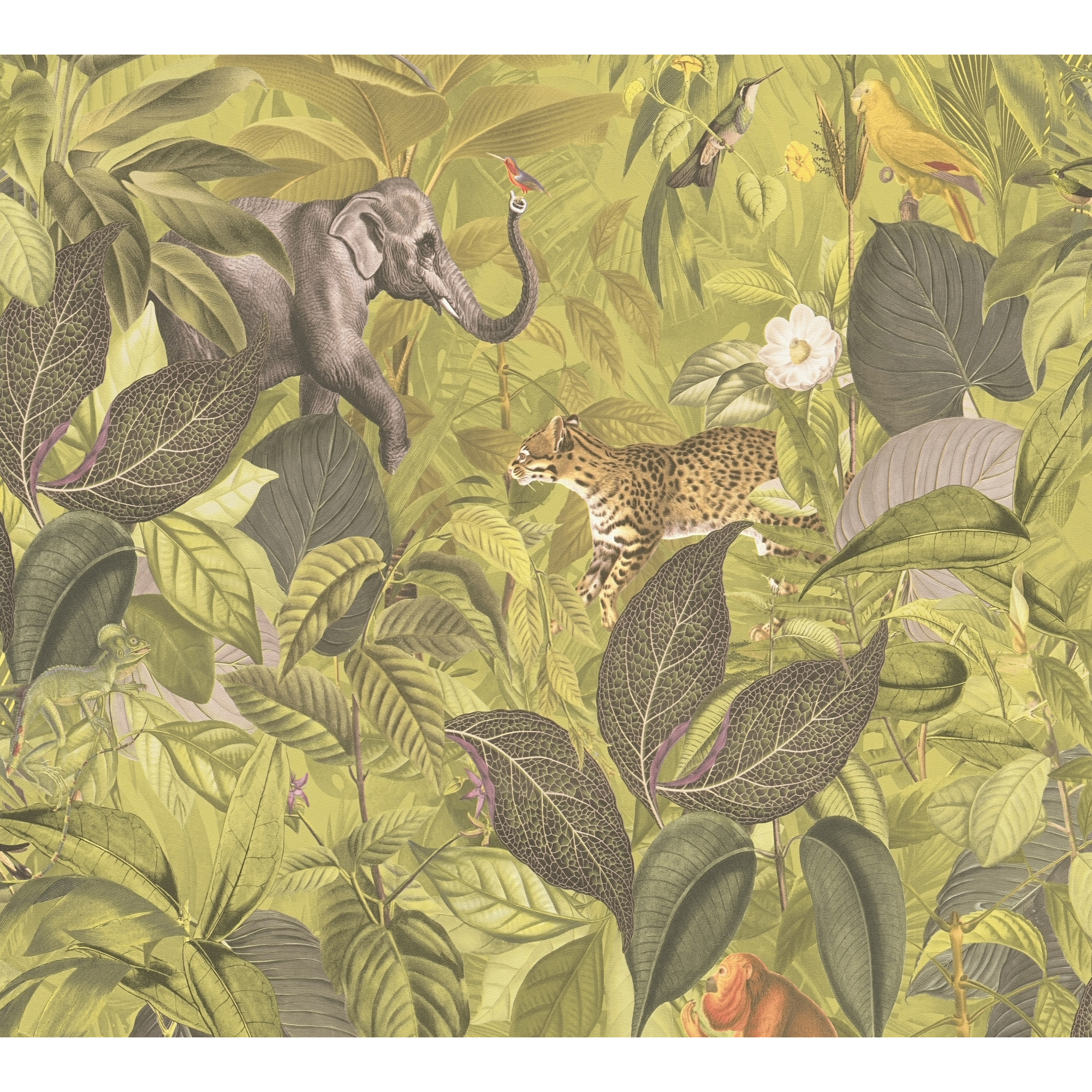 Vliestapete 'Pint Walls' Dschungel grün/braun 10,05 x 0,53 m + product picture