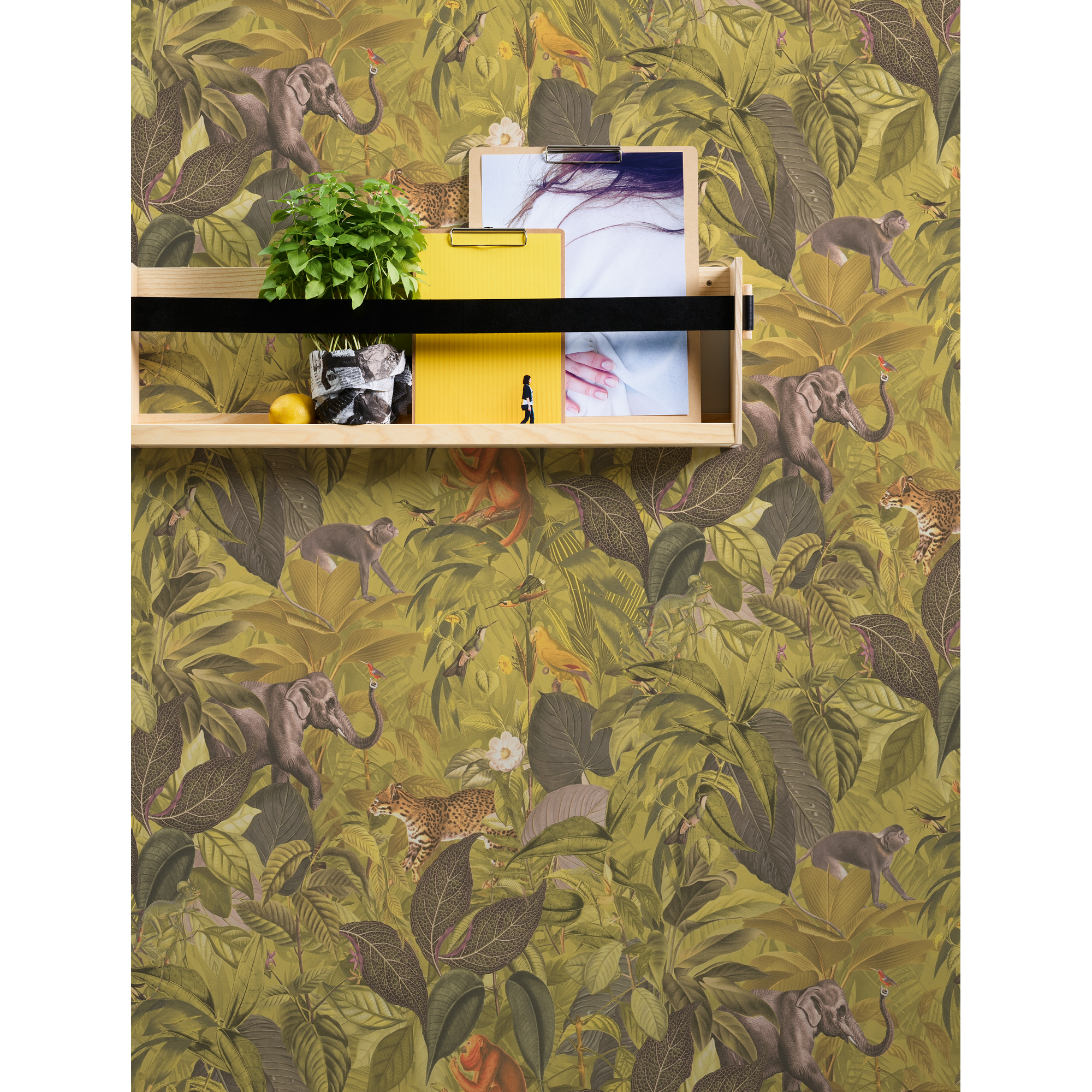 Vliestapete 'Pint Walls' Dschungel grün/braun 10,05 x 0,53 m + product picture