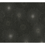 Verkleinertes Bild von Vliestapete 'The BoS' retro Stern schwarz/gold 10,05 x 0,53 m