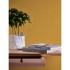 Senfgelbe Vliestapete attractive 2 Uni an der Wand
