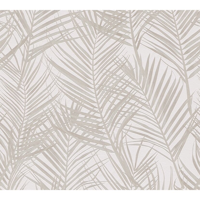 Beige Palmenblätter auf weißem Hintergrund.