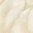 Vliestapete Guido Maria Kretschmer '10148-14 Fashion for Walls 2' Floral creme 0,53 x 10,05 m