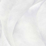 Vliestapete Guido Maria Kretschmer '10148-31 Fashion for Walls 2' Floral hellgrau 0,53 x 10,05 m